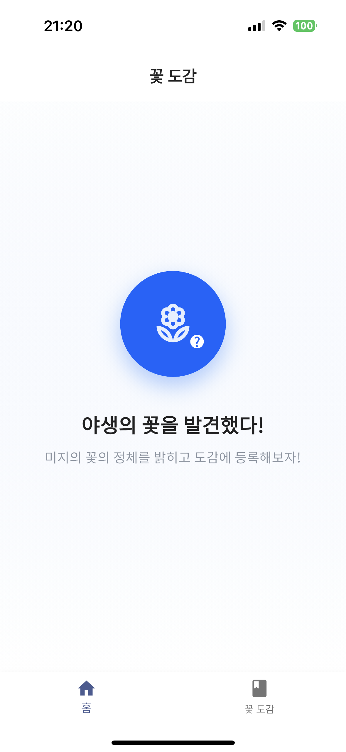화면 레이아웃