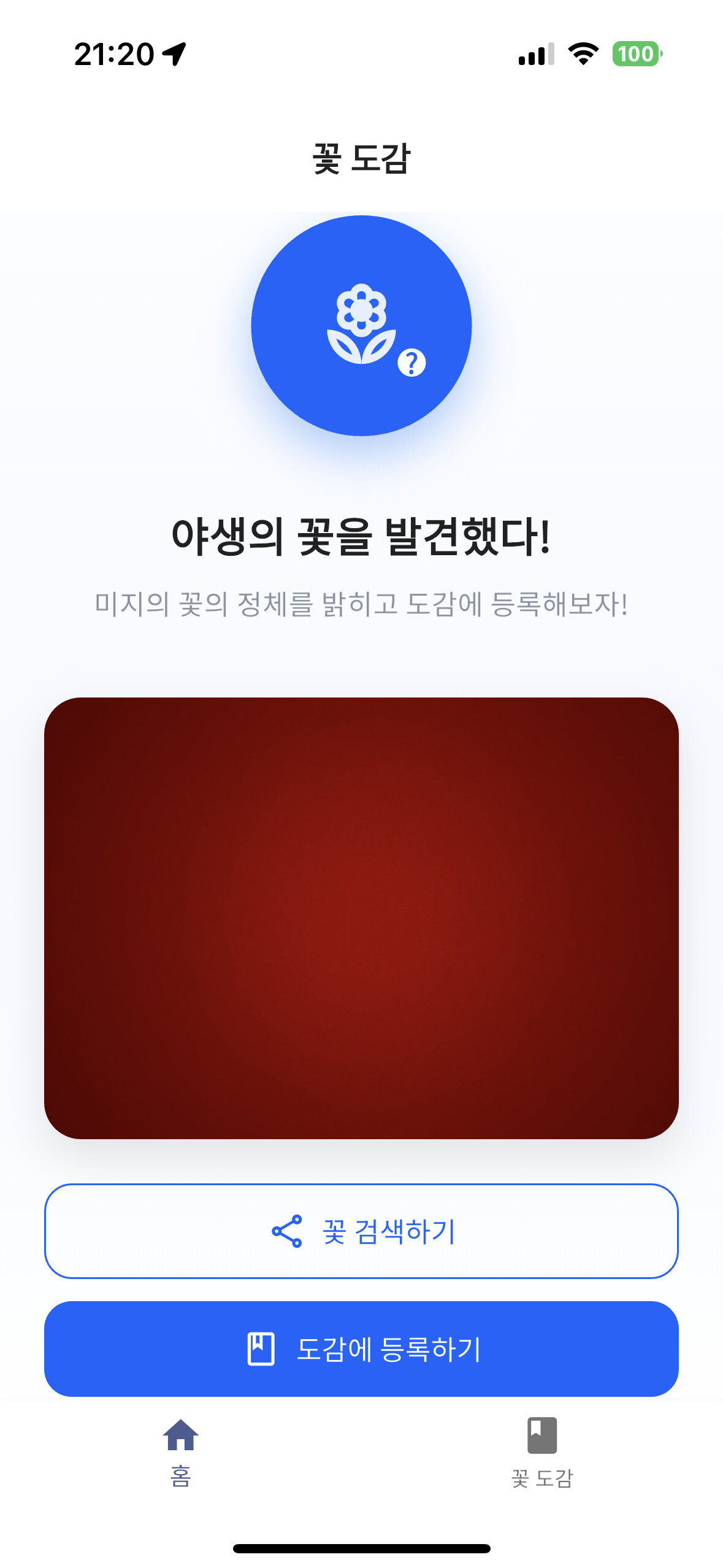 화면 레이아웃