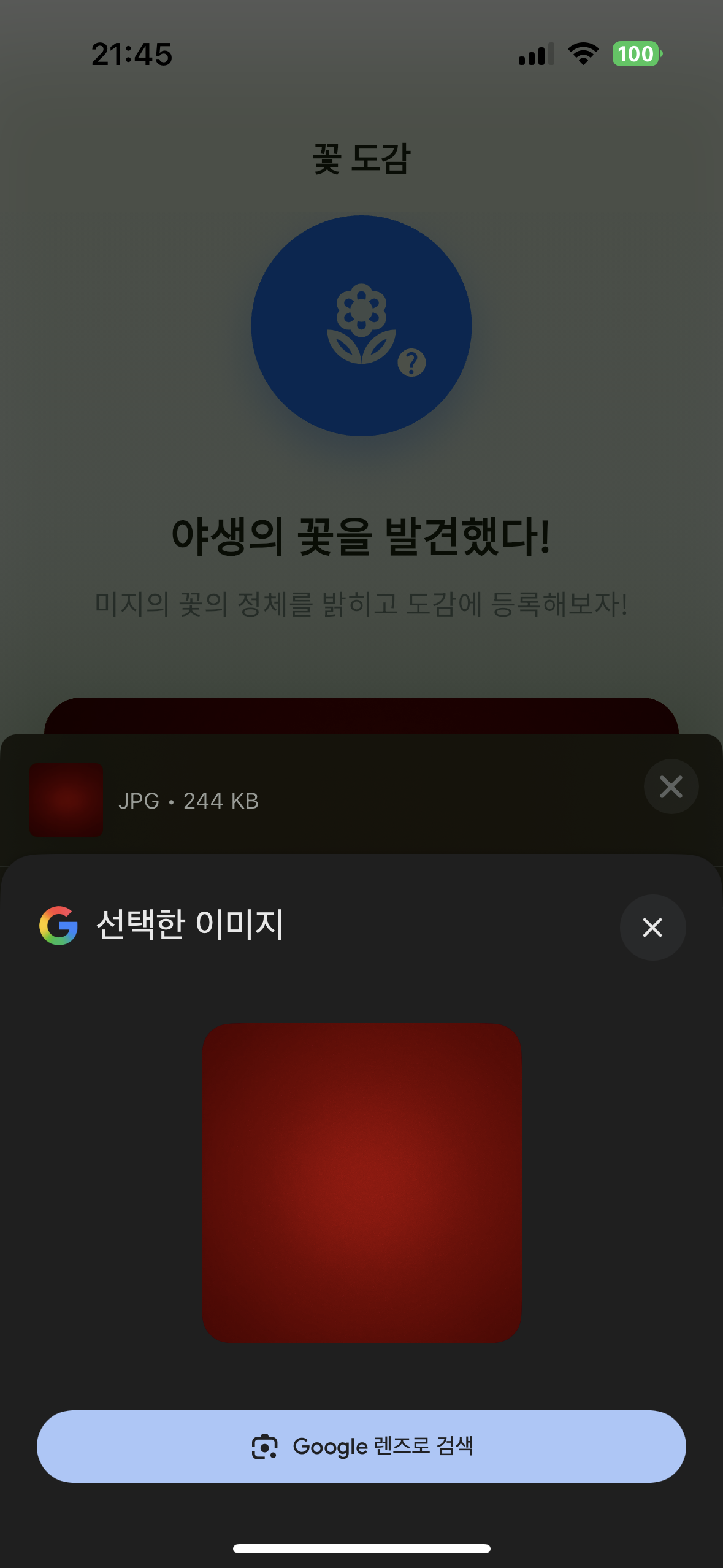 화면 레이아웃