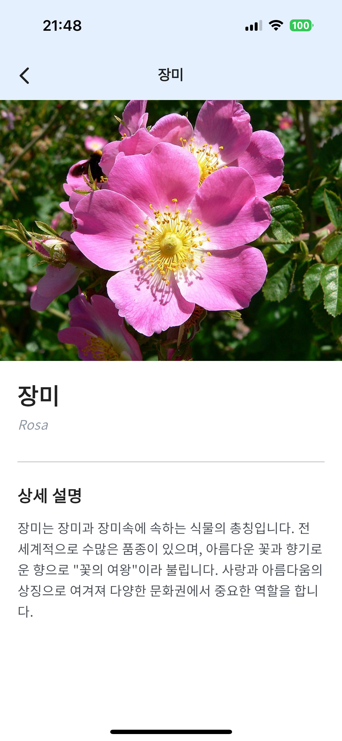 화면 레이아웃